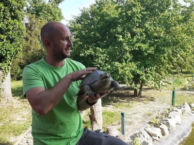 Dravska priča