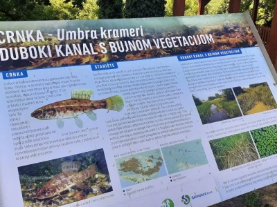 Dravska priča