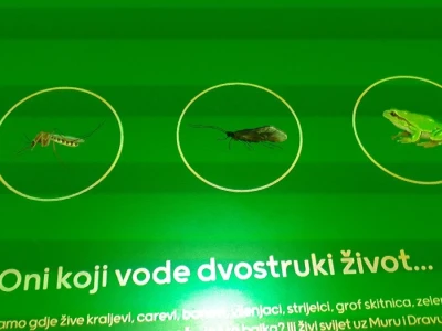 Dravska priča