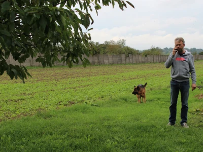 Dražen svoju mehanizaciju isplaćuje i kroz usluge kombajniranja, baliranja i obrade tla. Njemački ovčar Vučko ljubimac je cijele obitelji Horvatovih