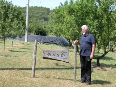 Dražen Rančić i njegova plantaža badema