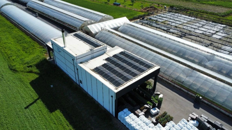 ZPP Karmenka plastenik
