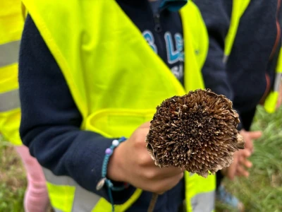 Društveni vrtovi kao mjesto educiranja i učenja o važnosti zajednice