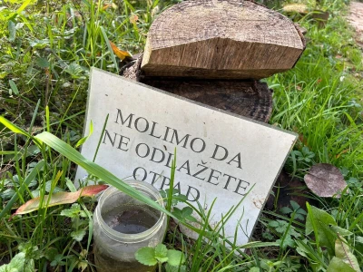 Društveni vrtovi kao mjesto educiranja i učenja o važnosti zajednice