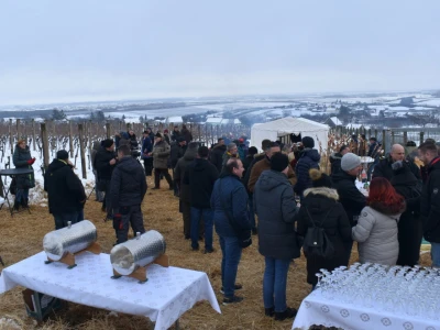 Vinkovo 2023