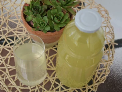 Sirup od bazge