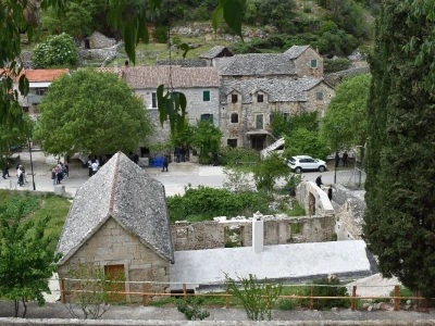 Noćnjak 2022 Dol