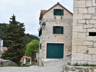 Noćnjak 2022 Dol