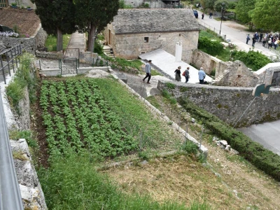 Noćnjak 2022 Dol