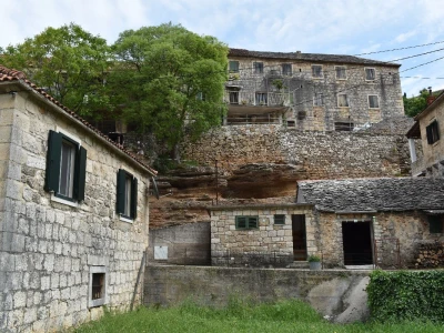 Noćnjak 2022 Dol