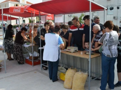 Festival sira u Drnišu