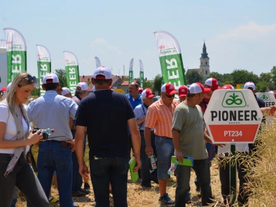 Dan polja uljane repice u Vrpolju - Pioneer