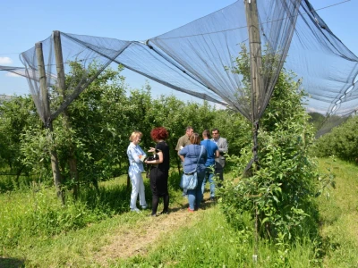 Elementarna nepogoda u Bjelovarsko-bilogorskoj županiji
