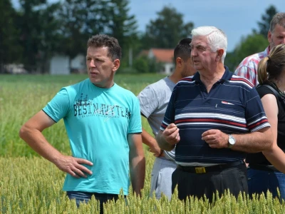 BASF Dan polja