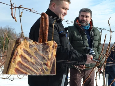 Vincelovo u Kutjevu