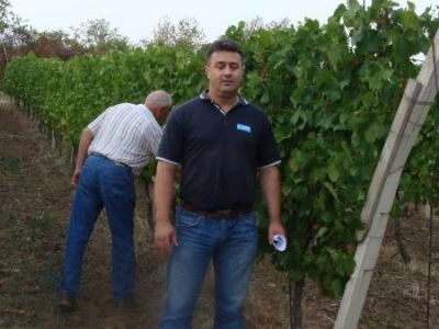opg bogunović