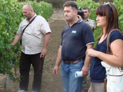 opg bogunović