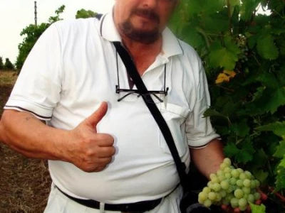 opg bogunović