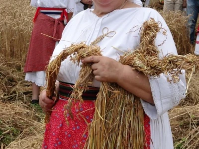 Kruh naš svagdašnji - žetva i vršidba u prošlosti