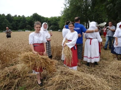 Kruh naš svagdašnji - žetva i vršidba u prošlosti