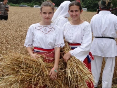 Kruh naš svagdašnji - žetva i vršidba u prošlosti