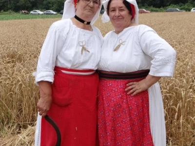 Kruh naš svagdašnji - žetva i vršidba u prošlosti