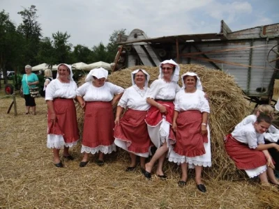 Kruh naš svagdašnji - žetva i vršidba u prošlosti