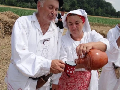 Kruh naš svagdašnji - žetva i vršidba u prošlosti