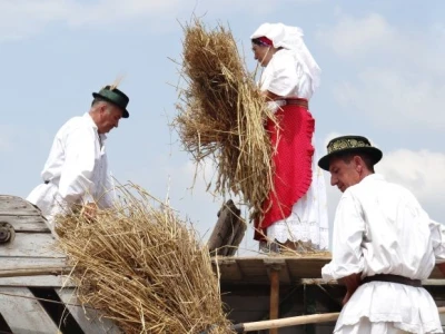 Kruh naš svagdašnji - žetva i vršidba u prošlosti