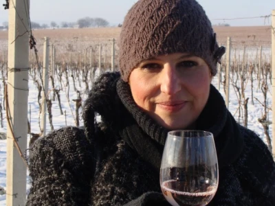 Ledena berba Beljskih vinograda