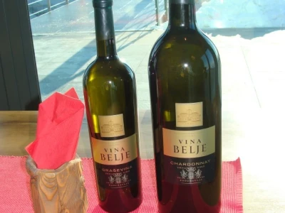 Ledena berba Beljskih vinograda