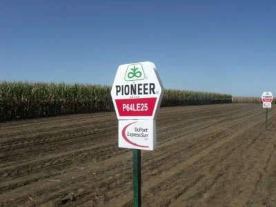 Pioneer Dani polja