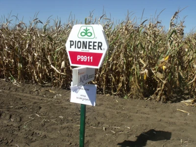 Pioneer Dani polja
