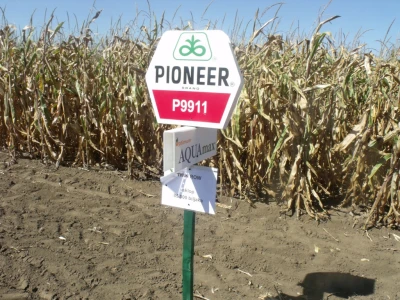 Pioneer Dani polja