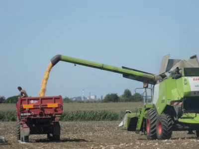 Pioneer Dani polja