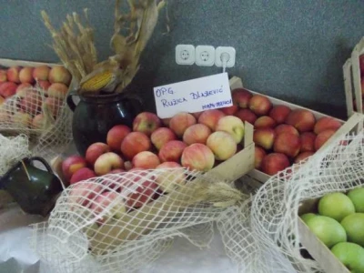 Ocjena kvalitete voćnih rakija