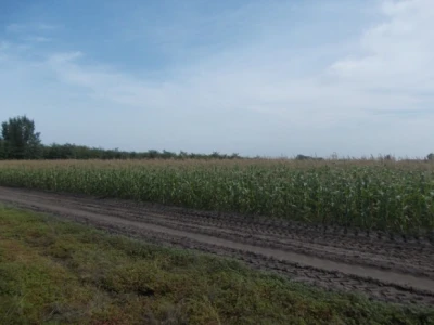 Pjeskovito tlo u Mađarskoj
