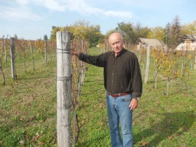 Vinko Medić