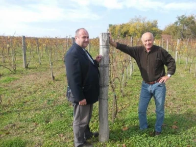 Podrum i vinograd Vinka Medića
