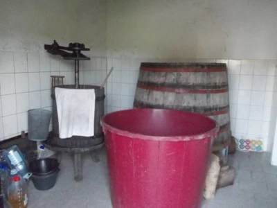 Podrum i vinograd Vinka Medića