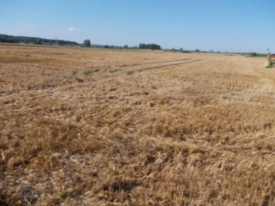integrirana ratarska proizvodnja