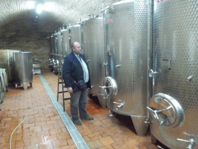 Podrum i vinograd Pere Kusića