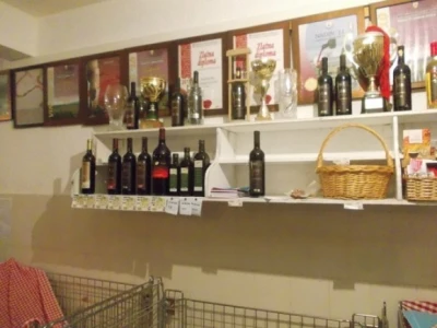 Zadruga u Polači