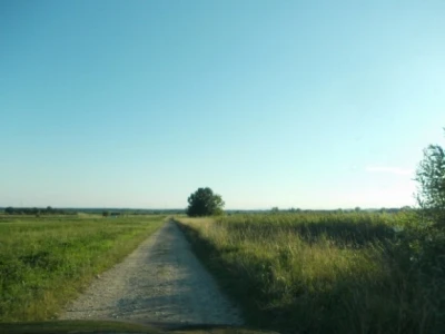 integrirana ratarska proizvodnja