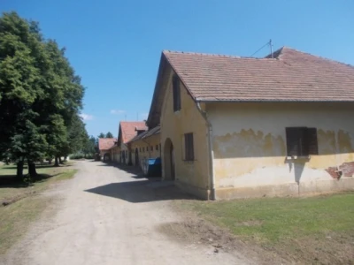 Ovčare