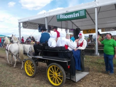 natjecanje orača u Sloveniji