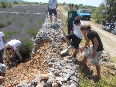 Aktivni članovi udruge su brojnim turistima i domaćim ljudima na Hvaru pokazali osnove rada suhozida