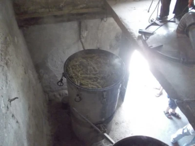 Ružmarin