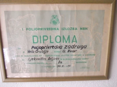 Destilacija lavande i ružmarina