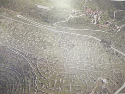 Destilacija lavande i ružmarina